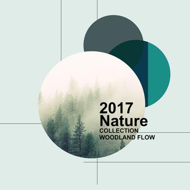 Forest Birds and Ambient Wave