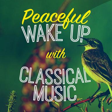 Piano Concerto No. 2 in A Major, S. 125: II. Allegro moderato