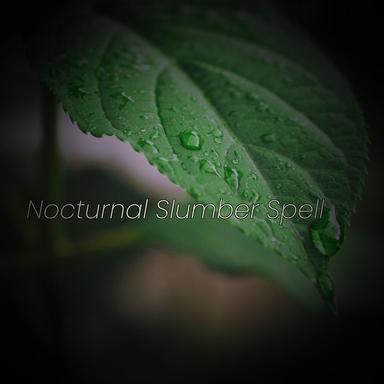 Soothing Ambience