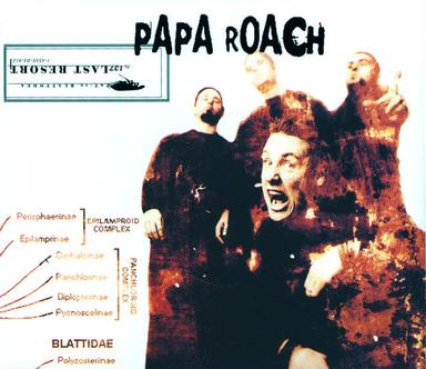 Last Resort - Album Version Explicit