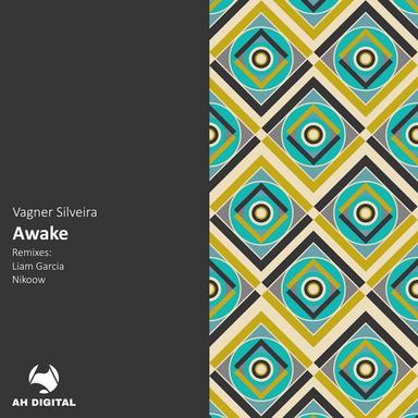 Awake - Liam Garcia Remix
