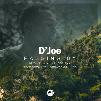 Passing By - Kanedo Rmx