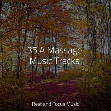 Calming Night Rhythm