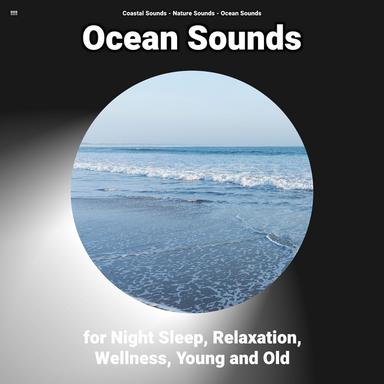 Harmonious Ocean Sounds Background Sound Effect