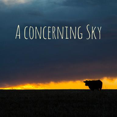 Contemplation