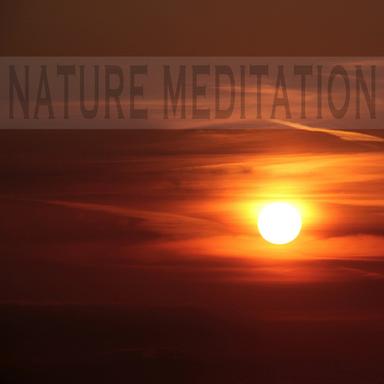 Zen Nature Sounds