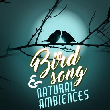Songs of the Sky