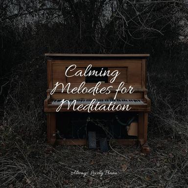 Restful Stillness
