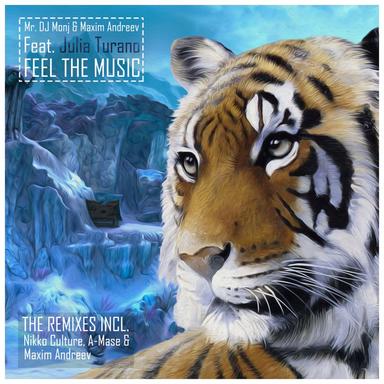 Feel The Music - Nikko Culture Remix