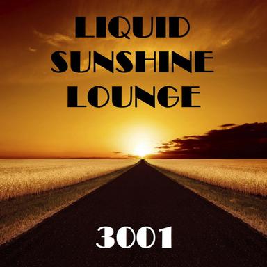 Liquid Sunshine - Hotel Bar Mix
