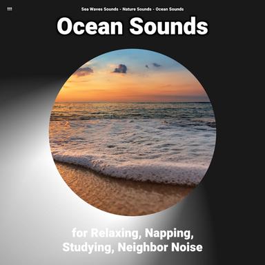 Meditative Ambience