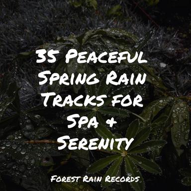 Wind, Strong, Forest, Light Debris, Leaves, Rain