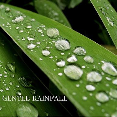 Rain for Sleep