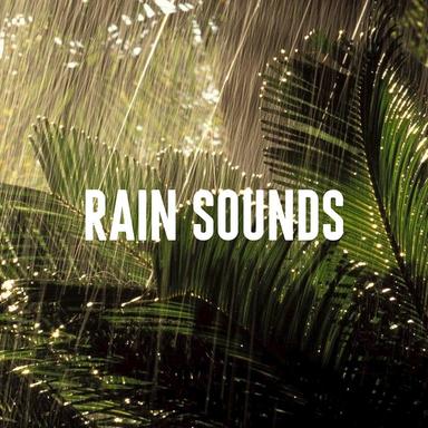 Cozy Rain