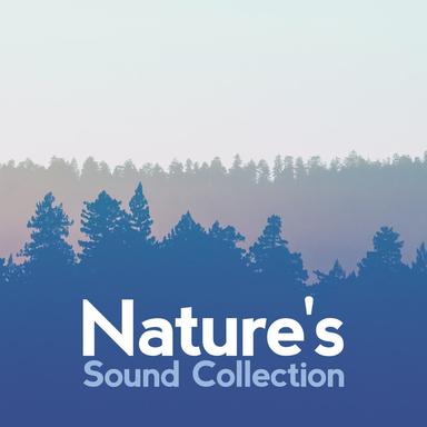 Nature's Sound Collection