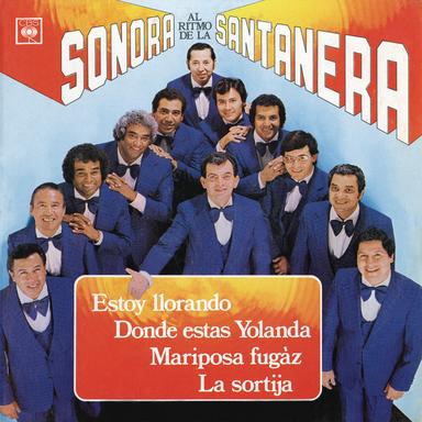 Dónde Estás Yolanda