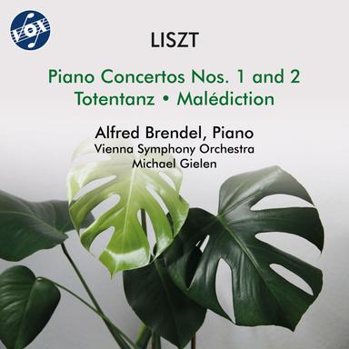 Piano Concerto No. 1 in E-Flat Major, S. 124: II. Quasi adagio