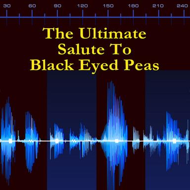 Boom Boom Pow (Made Famous by Black Eyed Peas)