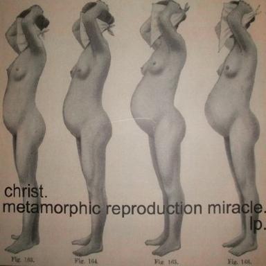 medulla oblongata