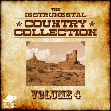 I Really Don't Want to Know (Instrumental Version)