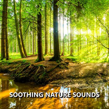 Unsurpassed Outside Nature Recording