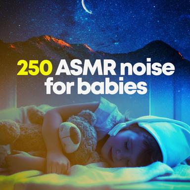 Night Ambience