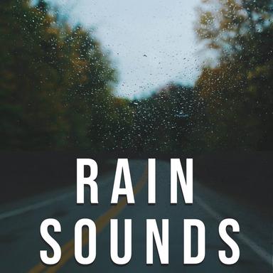 Rainy Day