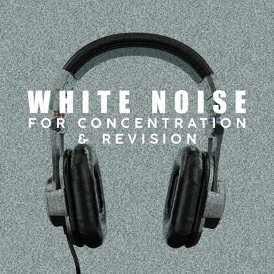 Echolocation Sine