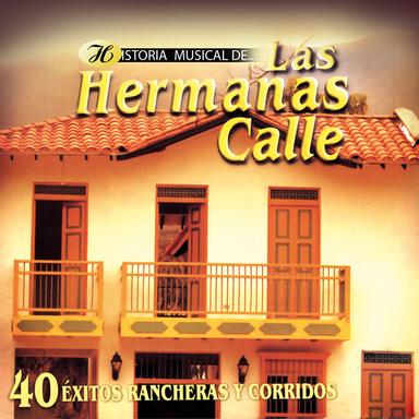 Historia Musical de Las Hermanas Calle
