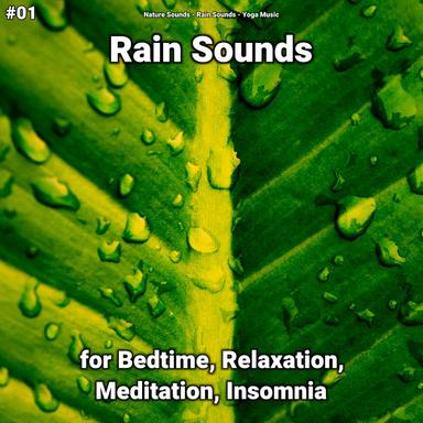 Sleep Sounds