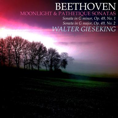 Piano Sonata No. 14 in C-Sharp Minor, Op. 27, No. 2, "Moonlight": II. Allegretto