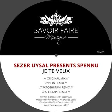 Je Te Veux - Spieltape Remix