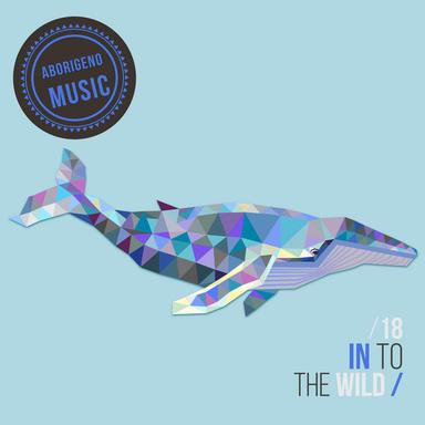 Do You Wanna House - Original Mix