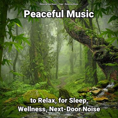 Soft Music for Sleep