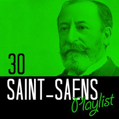 Cello Concerto No. 1 in A Minor, Op. 33: II. Allegretto con moto