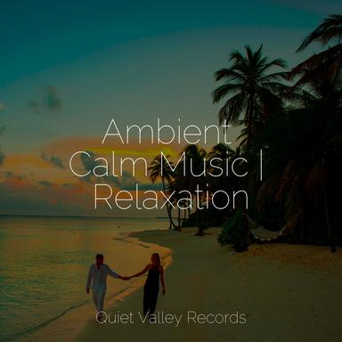 Anxiety Relief