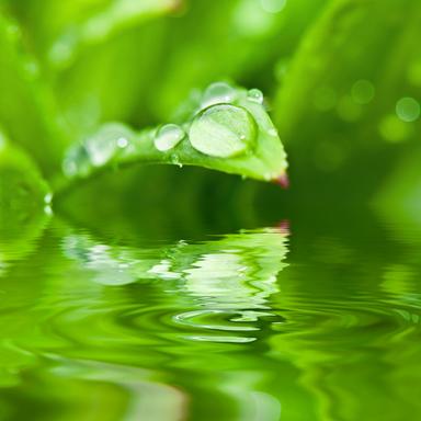 Liquid Silence