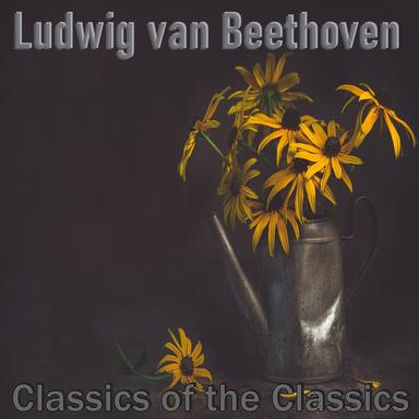 Sonata No. 11 in B Flat Major, Op. 22- 2Nd Mov. Adagio Con Molta Espressione