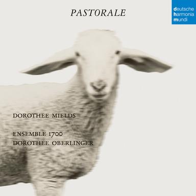 Organ Concerto in F Major, HWV 293: II. Allegro (Arr. for Recorder, Strings & Continuo by Dorothee Oberlinger)