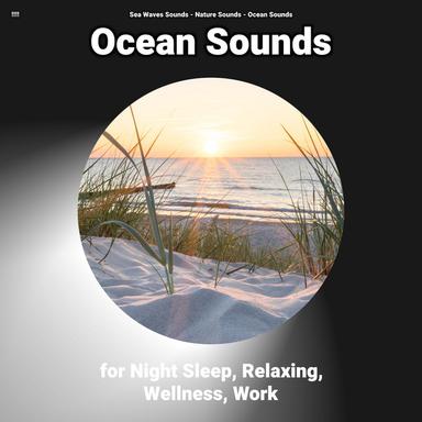 Ambient Nature Sounds for Everyone