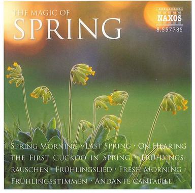 String Quartet No. 14 in G Major, K. 387: III. Andante cantabile