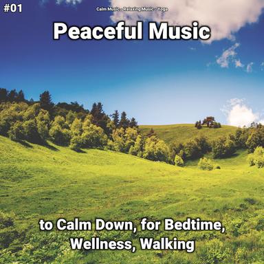 Relaxing Music