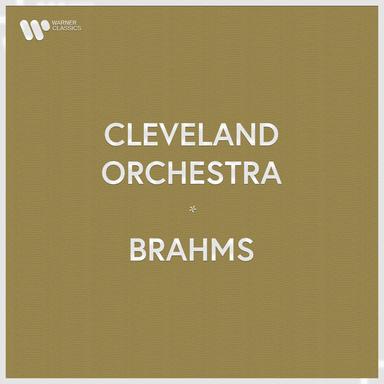 Brahms: Symphony No. 4 in E Minor, Op. 98: II. Andante moderato