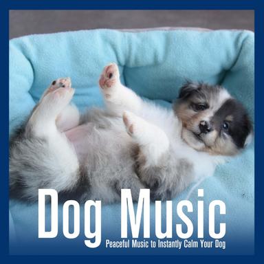 Relaxing Dog Song