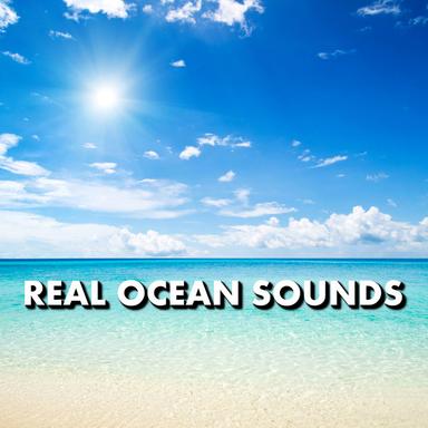 Enchanting Bayside Beach Sounds