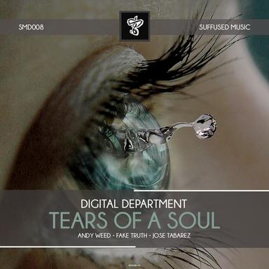 Tears of a Soul - Fake Truth Remix