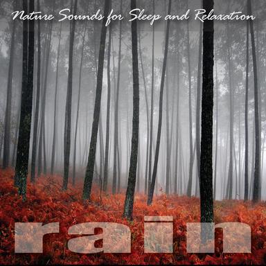Rain Sounds