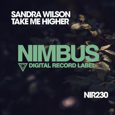 Take Me Higher - Dub Mix