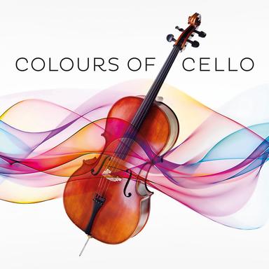 Cello Concerto In B Minor, Op. 104, B. 191: 2. Adagio ma non troppo