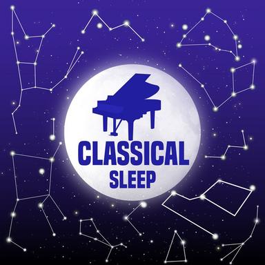 Brandenburg Concerto No. 6 in B-Flat Major, BWV. 1051: II. Adagio ma non tanto